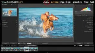 Lightroom Classic - Creating an Export Preset