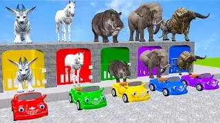Long Slide Game with Cow Elephant Gorilla Hippopotamus Tiger 3d Animal Game Funny 3d Animals