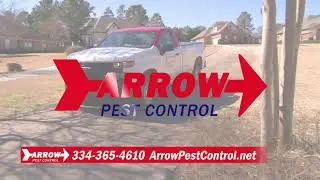 Arrow Pest Control