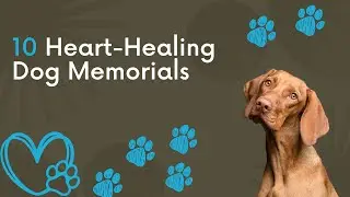 10 Beautiful Dog Memorial Quotes | Dog Loss Quotes
