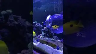 Customer Success Video #6 - 8 Inch Hydraulic TankMatez Bubble Trap