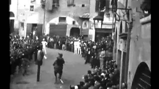 La giostra del Saracino