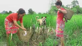 Women use fishing hooks in the fields - Women cook fish for dogs and rabbits.