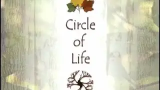 Spirit of the Trees: Circle of Life