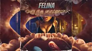 Felina - Mc Dieiex// Audio // Demo 2025 #viral #dembow #regueton #perreo2025