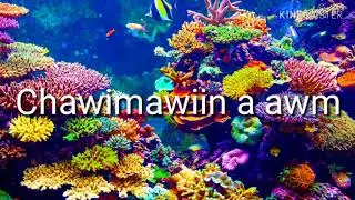 Chawimawiin a awm track