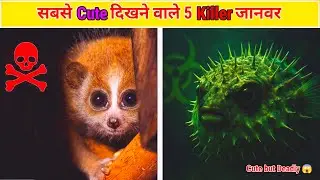 Dikhte Cute&hellip; Par Ye 5 Jaanwar Hain Duniya Ke Sabse Dangerous Killer 😱 | Top 5 Cute but Deadly animal