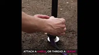 Introduction to the Earth&Skye Heavy Duty Dog Tie Out Stake