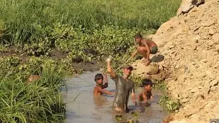 Incredible hand fishing in pond| Fishing season Cambodia 2022