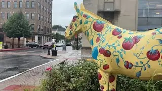 Pittston's Tomato Festival brings culinary tradition to life