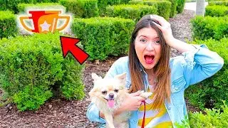 TROVA IL TROFEO DEL DISNEY CHALLENGE SHOW! *L'abbiamo perso al parco!*