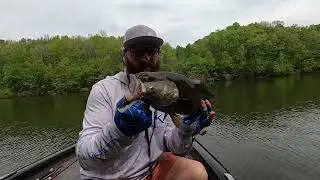 Catching them Brown fish at Tims Ford Lake.