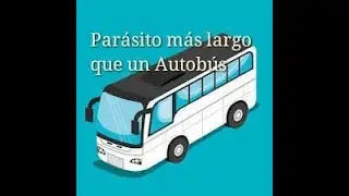 Par&aacute;sito m&aacute;s grande que un  Autob&uacute;s,  mide m&aacute;s de 15 metros de longitud y vive dentro de nosotros.