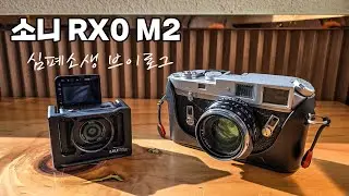 짱박혀있는 소니 RX0M2 심폐소생 브이로그 (feat.라이카M4, 펜탁스LX)