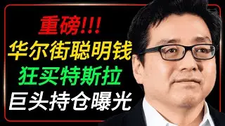 重磅！华尔街聪明钱，正在狂买特斯拉！一个视频看懂华尔街加仓的底层逻辑。