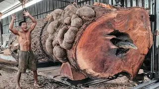 🌳SAWMILLING MONSTER TREMBESI WOOD‼️ A Natural Giant That Challenges Human Strength🌳