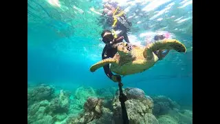 PHILIPPINES TRAVEL 2020!🐢 FILIPINAS. DIVING IN PHILIPPINES, FREEDIVING,  GOPROHERO7 4K, MAVIC MINI.