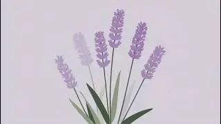Lavender Waltz &mdash; Aeris | Calm Background Music To Relax, Study, Work