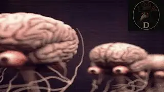 Creepypasta dispara y saquea 