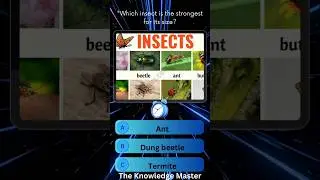 Which Insect Is the Strongest for Its Size? | Insect Power Facts #shorts #theknowledgemaster1m