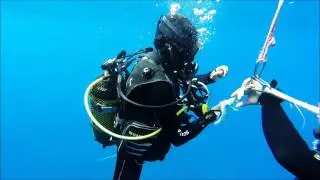 Diving Gran Canaria November 2016