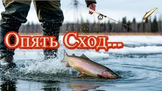 Причины сходов форели зимой