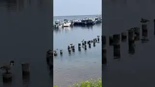 Marquette Ore Dock #michigan #awesome #nature #cuteanimals #yooper #ore #dock #history #cool #unique