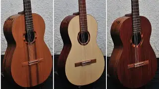 Prueba de guitarras Luthier Leibiusky