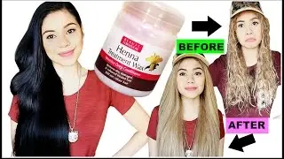 Trying Henna Treatment Wax For Damaged & Dry Hair -Review & First Impressions-Beautyklove
