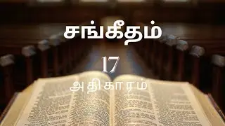 🌿 Tamil Audio Bible | Psalms &ndash; Chapter 17🌿 தமிழ் ஒலி வேதாகமம் | சங்கீதம் &ndash; அதிகாரம் 17