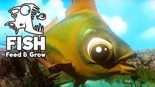 Feed and Grow Fish Gameplay German - Der größte Goldfisch der Welt