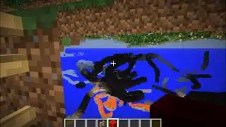 X-RAYS IN VANILLA MINECRAFT!