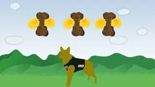 Use Agility DMG to Support Dog Health, Stamina and Endurance