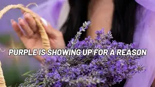 Why You Keep Seeing the Color Purple - It Means You&rsquo;re Processing Something Important