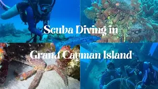 Our Diving Adventure in Grand Cayman Hosted by Pirate Divers