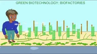 GREEN BIOTECHNOLOGY 1