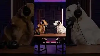 Dogs love us human