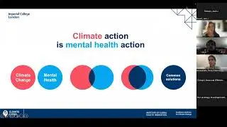 Mental health and wellbeing in the climate emergency: Global perspectives and calls to action