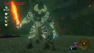 DPP vs Silver Lynel