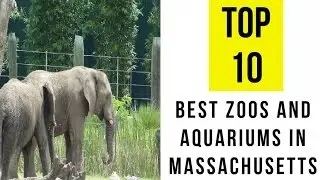 TOP 10. Best Zoos & Aquariums in Massachusetts: Family Holiday