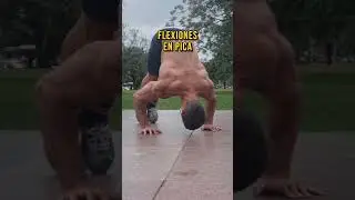 flexiones de brazos #calistenia #flexiones #lagartija #pushup #pushups #calisthenics #streetworkout