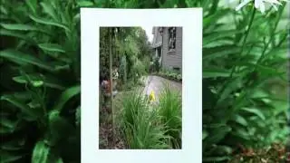 Waterstones Landscaping & Design - Calgary Landscaping Companies, Design, Ponds, Waterfalls