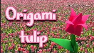 Origami Tulip | How to make a paper tulip | World of origami | #worldoforigami 