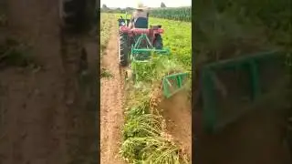 #shortvideoviral
