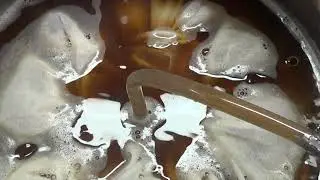 West Coast Rye IPA