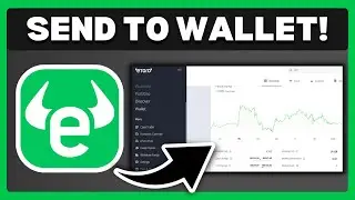 How To Transfer To Wallet On eToro - Full Guide