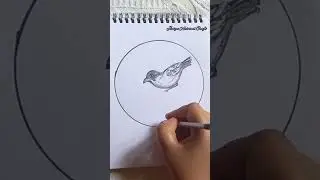 Cute bird drawing in a  circle #shorts #cutebird #satisfying