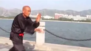 蛇拳She Quan-Snake Fist