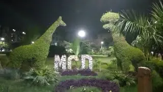 Animal Plant Sculptures, Municipality Park, Sagarpur, Suburban Delhi - Topiary.