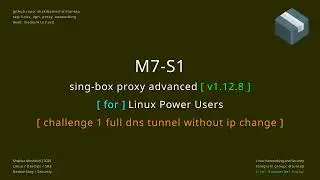 Singbox Proxy Advanced M7 S1 полный DNS-туннель без изменения IP-адреса